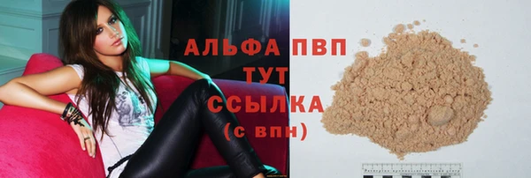 PSILOCYBIN Белокуриха