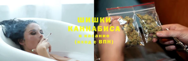PSILOCYBIN Белокуриха