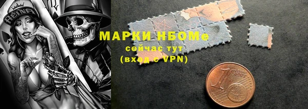 PSILOCYBIN Белокуриха