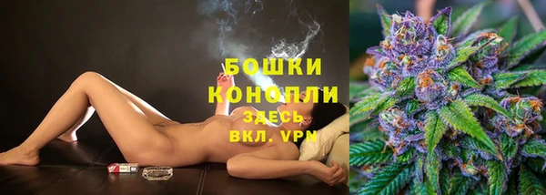PSILOCYBIN Белокуриха